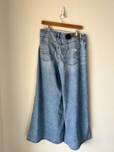 Load image into Gallery viewer, American Eagle Denim Size 9/10 (30)
