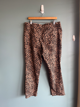 Load image into Gallery viewer, Terra &amp; Sky Pants Size 13/14 (32)
