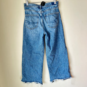 American Eagle Denim Size 2 (26)