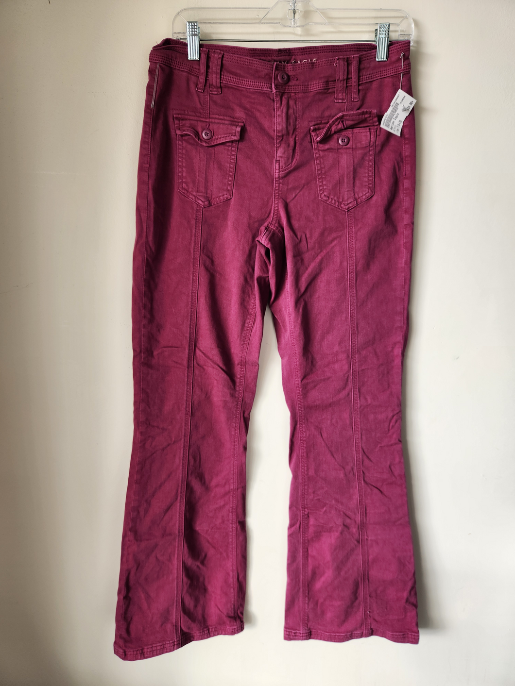 American Eagle Pants Size 9/10 (30)