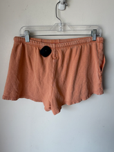 Load image into Gallery viewer, Aerie Shorts Size Medium

