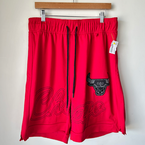 Athletic Shorts Size Medium