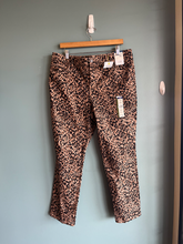 Load image into Gallery viewer, Terra &amp; Sky Pants Size 13/14 (32)
