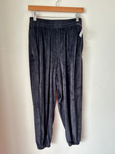 Load image into Gallery viewer, Skims Athletic Pants Size Medium
