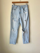 Load image into Gallery viewer, American Eagle Denim Size 3/4 (27)
