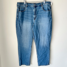 Load image into Gallery viewer, American Eagle Denim Size 18/20 (36)
