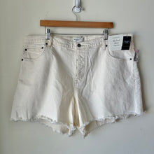 Load image into Gallery viewer, Abercrombie &amp; Fitch Shorts Size 26
