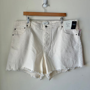 Abercrombie & Fitch Shorts Size 26
